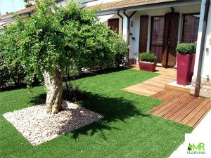 Piante da esterno ed interno a Mantova